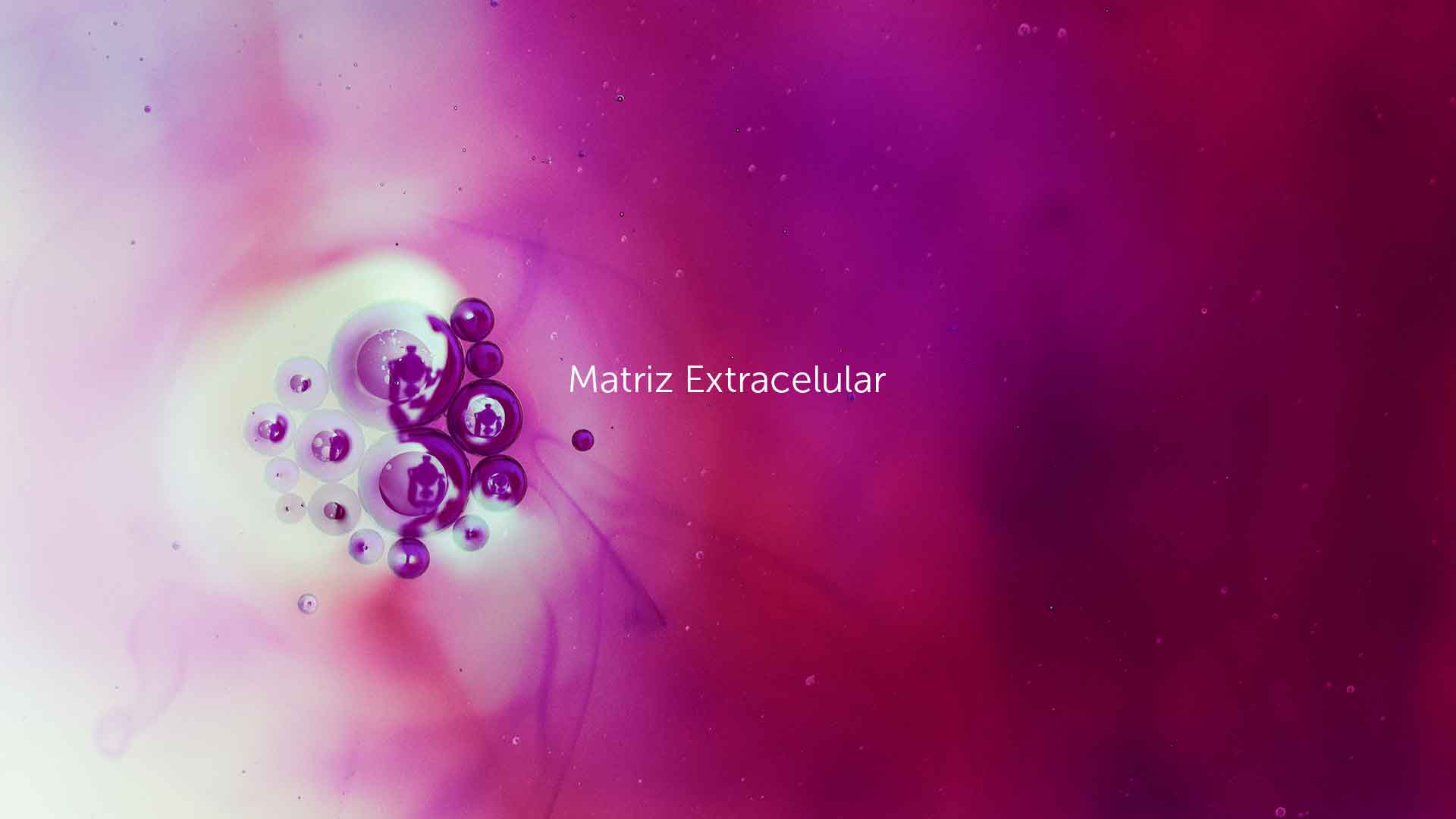 matriz-extracelular-1 Bienvenidos a HitLive