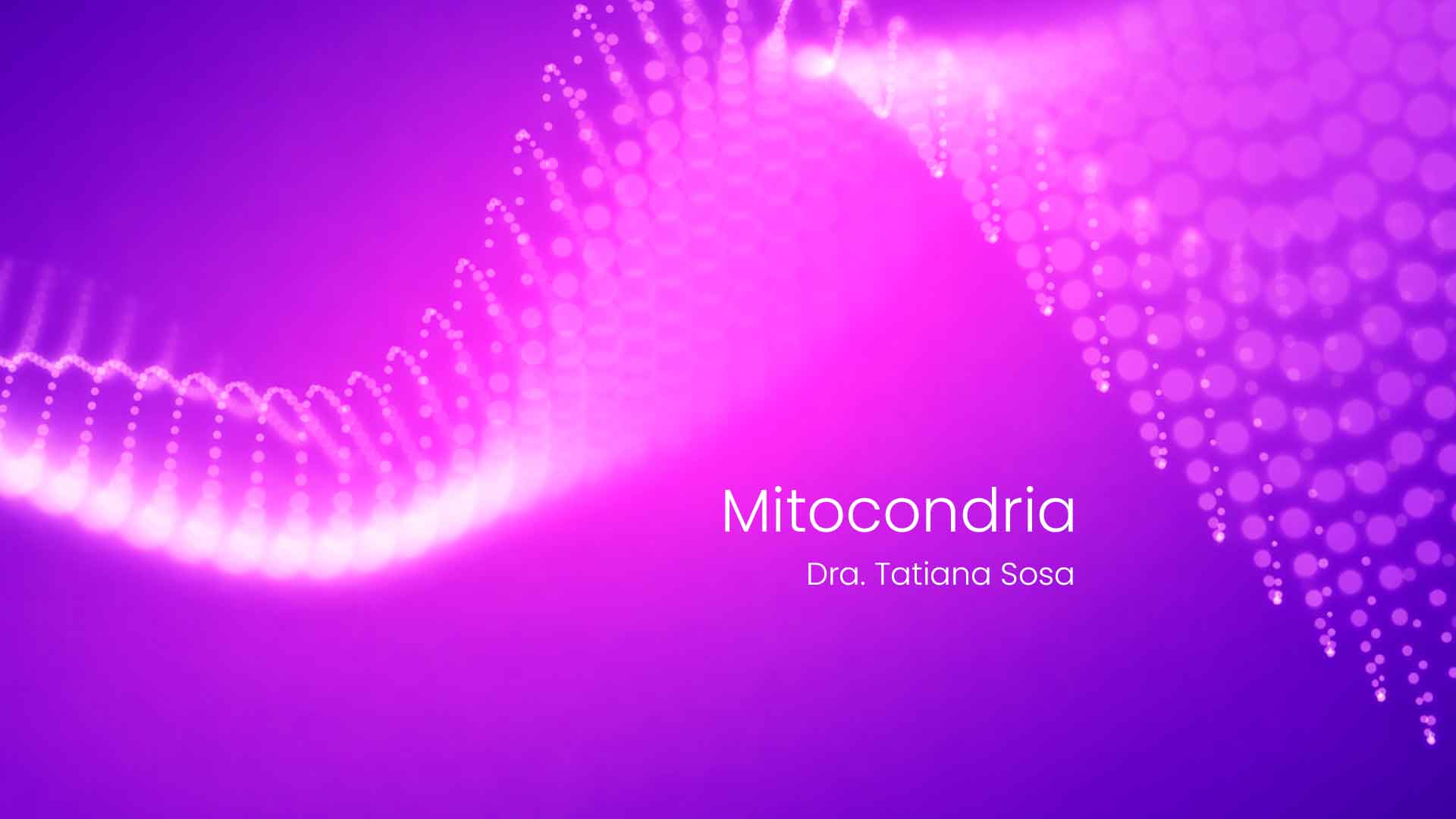 resistencia-a-la-insulina-inflexibilidad-metabolica-y-mitocondria-la-fatiga-postprandial-como-pista-diagnostica Resistencia a la insulina, inflexibilidad metab&oacute;lica y mitocondria: la fatiga postprandial como pista diagn&oacute;stica - HitLive