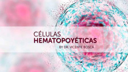 49490c592000a238b6aa19292dd5a2c3 Indicaciones del uso de c&eacute;lulas aut&oacute;logas - HitLive
