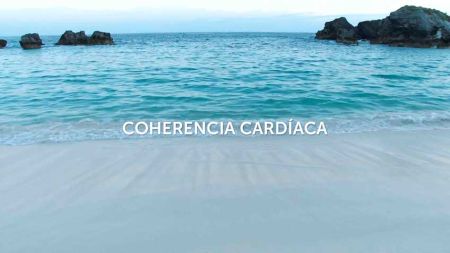 63c9960cca42ab11966a5b5c3f42b8b1 Estr&eacute;s y S&iacute;ndrome metab&oacute;lico. - HitLive